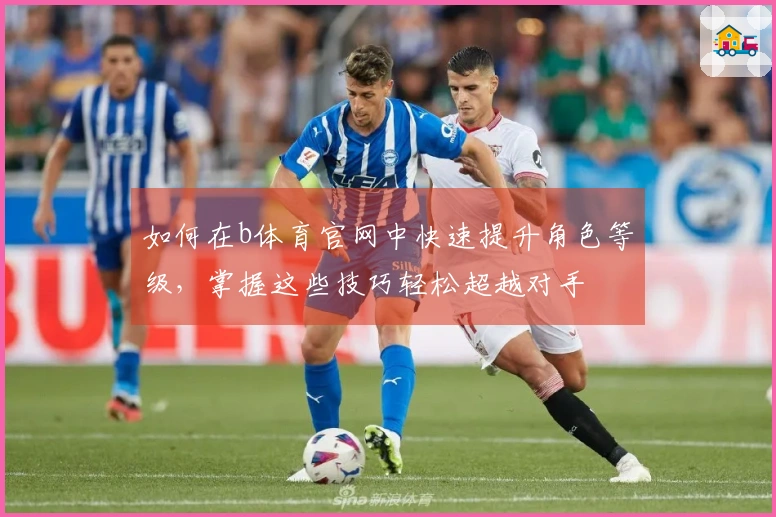 如何在b体育官网中快速提升角色等级，掌握这些技巧轻松超越对手